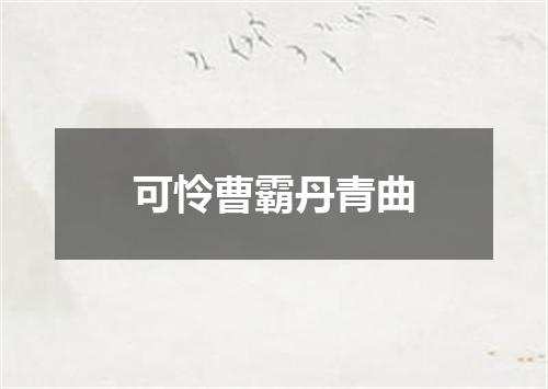可怜曹霸丹青曲