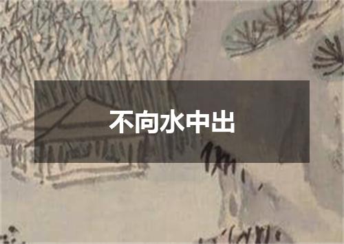 不向水中出