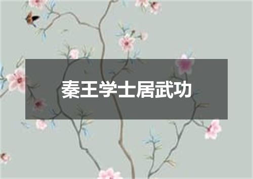 秦王学士居武功