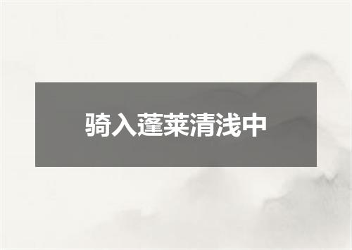 骑入蓬莱清浅中