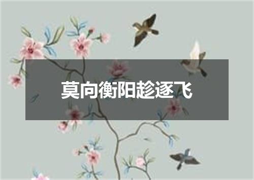 莫向衡阳趁逐飞