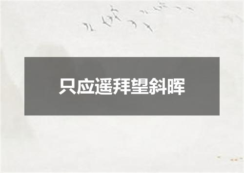 只应遥拜望斜晖
