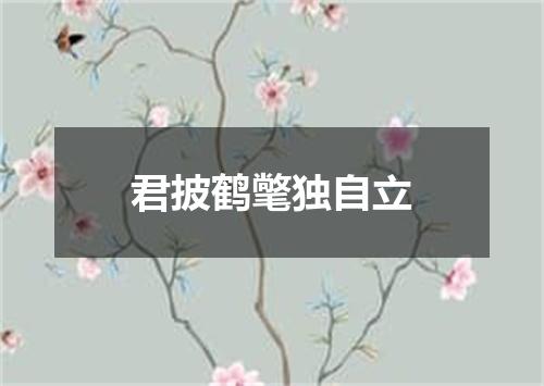君披鹤氅独自立