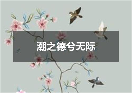潮之德兮无际
