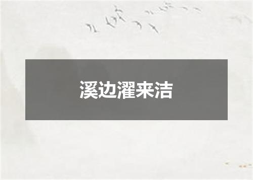 溪边濯来洁