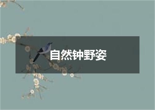 自然钟野姿