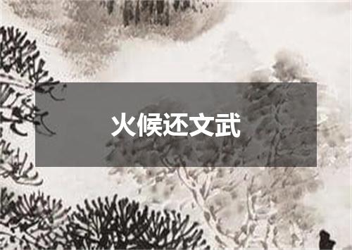 火候还文武