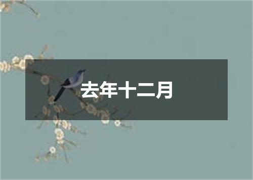 去年十二月