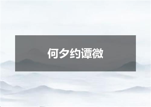 何夕约谭微