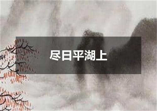 尽日平湖上