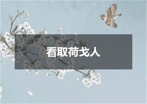 看取荷戈人