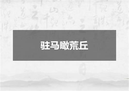 驻马瞰荒丘