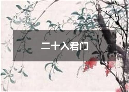 二十入君门