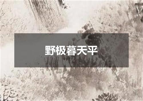 野极暮天平
