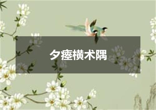 夕瘗横术隅