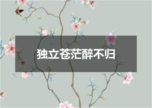 独立苍茫醉不归