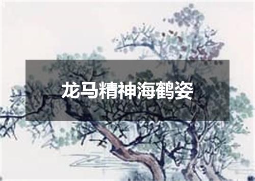 龙马精神海鹤姿