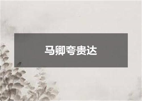 马卿夸贵达