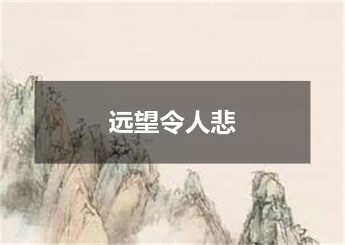 远望令人悲