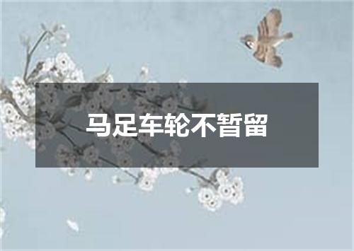 马足车轮不暂留