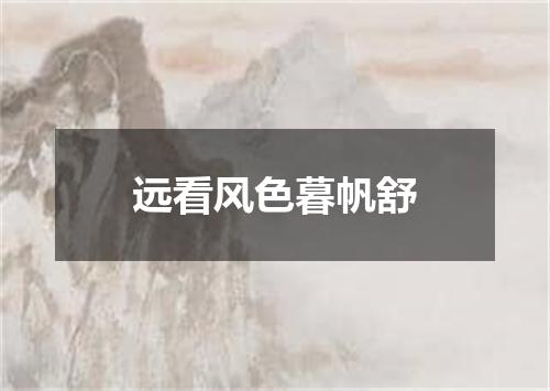 远看风色暮帆舒