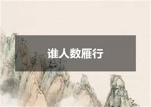 谁人数雁行