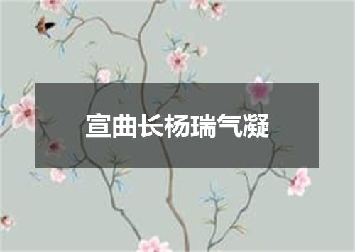 宣曲长杨瑞气凝
