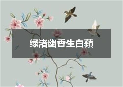 绿渚幽香生白蘋