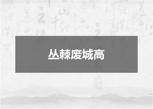 丛棘废城高