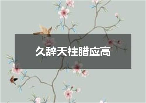 久辞天柱腊应高