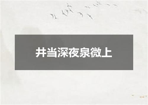 井当深夜泉微上