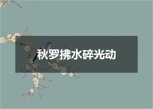 秋罗拂水碎光动