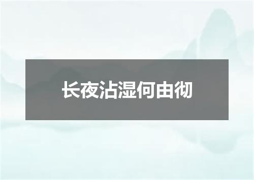 长夜沾湿何由彻