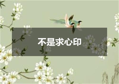 不是求心印
