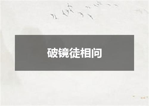 破镜徒相问
