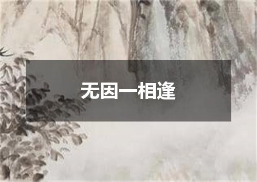 无因一相逢