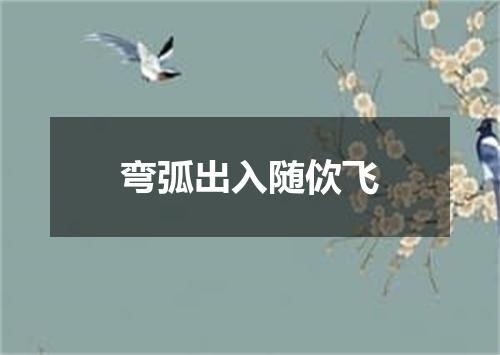 弯弧出入随佽飞