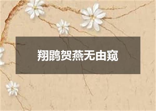 翔鹍贺燕无由窥