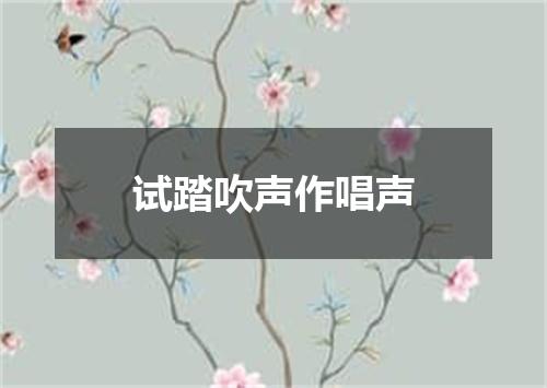 试踏吹声作唱声