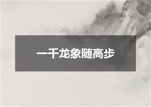 一千龙象随高步