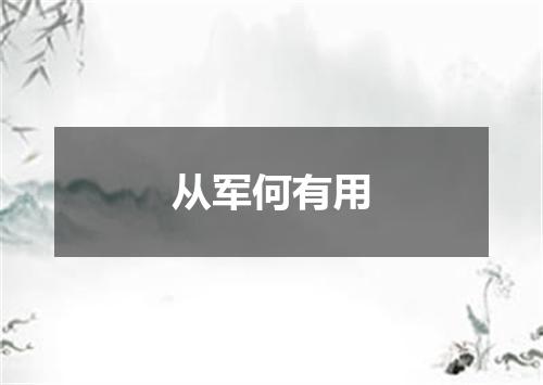 从军何有用