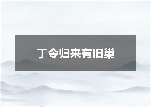 丁令归来有旧巢