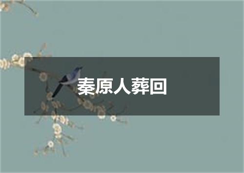 秦原人葬回
