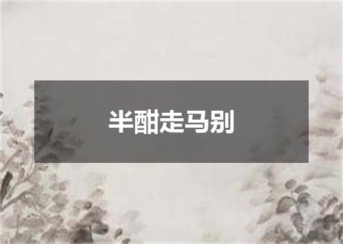 半酣走马别