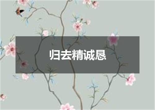 归去精诚恳