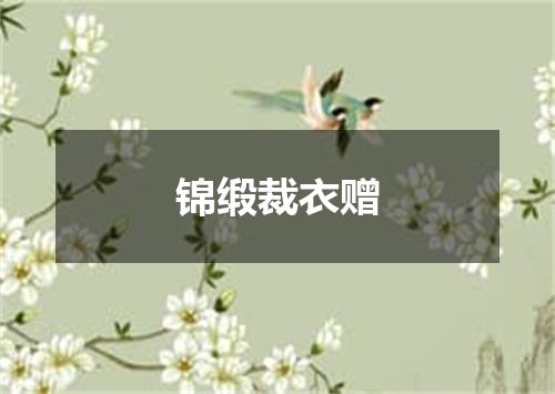 锦缎裁衣赠