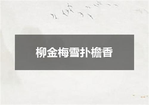 柳金梅雪扑檐香