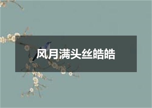 风月满头丝皓皓