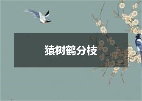 猿树鹤分枝