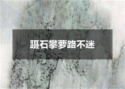 蹑石攀萝路不迷